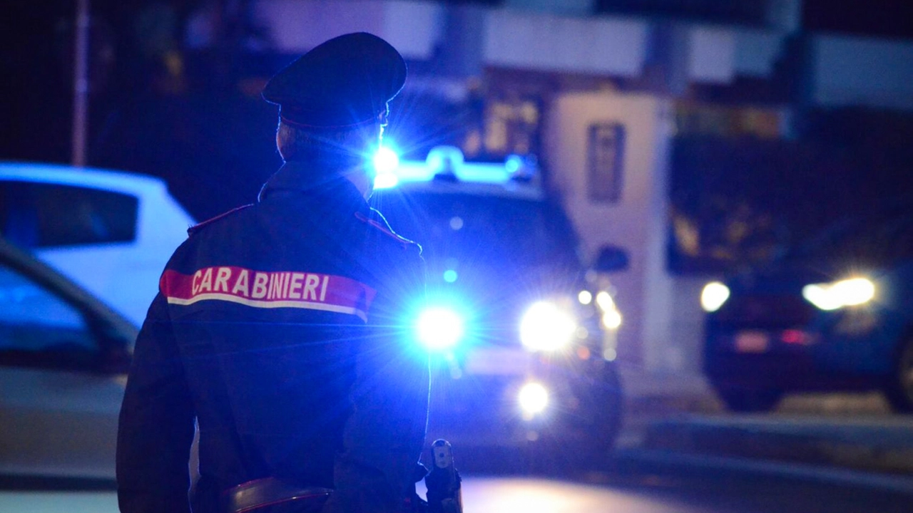 Sul posto indagano i carabinieri (foto di repertorio)
