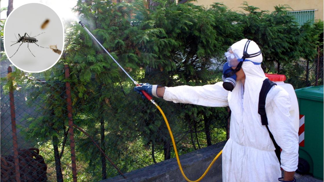 Como, allarme sanitario a Capiago Intimiano per un caso di febbre Dengue: scattano tre giorni di disinfestazione Como, allarme sanitario a Capiago Intimiano per un caso di febbre Dengue: scattano tre giorni di disinfestazione