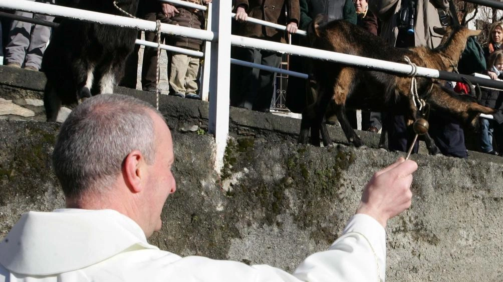 È tutto pronto a Montagna dove domani si terrà la festa di Sant’Antonio Abate, uno dei padri della chiesa d’oriente... È tutto pronto a Montagna dove domani si terrà la festa di Sant’Antonio Abate, uno dei padri della chiesa d’oriente...