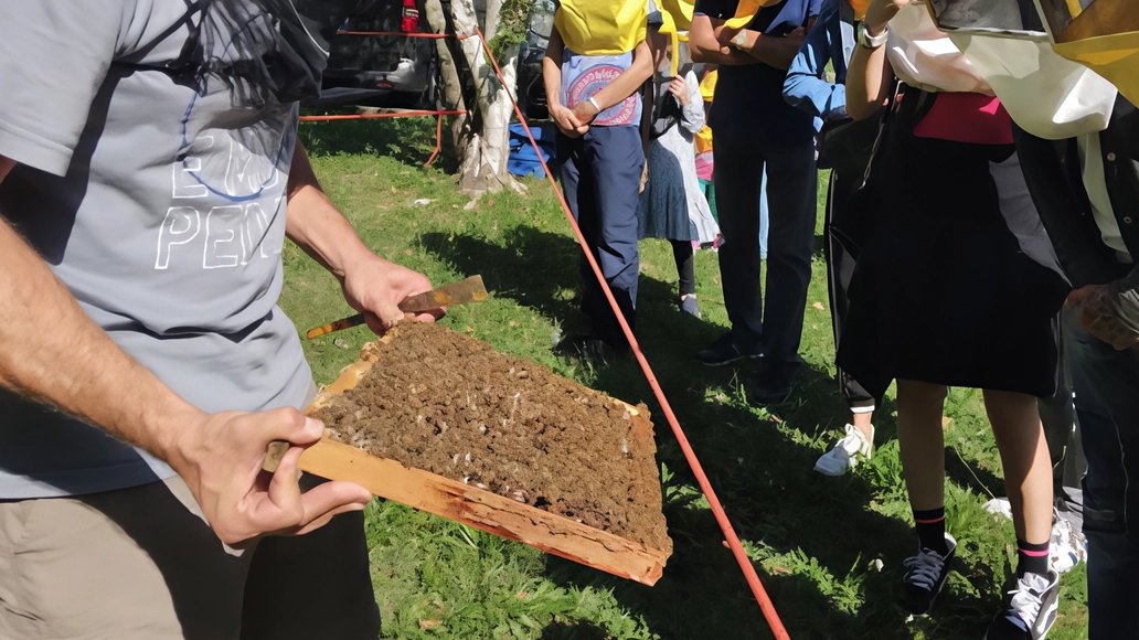 La 15ª edizione della "Festa delle Api" si terrà a Ponte Lambro a Villa Guaita, con focus sull'apicoltura, agricoltura biologica e sostenibilità. Degustazioni, mercato agricolo e intrattenimento per bambini e adulti. Organizzata dal Circolo Ambiente "Ilaria Alpi" e ApiLombardia. La 15ª edizione della "Festa delle Api" si terrà a Ponte Lambro a Villa Guaita, con focus sull'apicoltura, agricoltura biologica e sostenibilità. Degustazioni, mercato agricolo e intrattenimento per bambini e adulti. Organizzata dal Circolo Ambiente "Ilaria Alpi" e ApiLombardia.