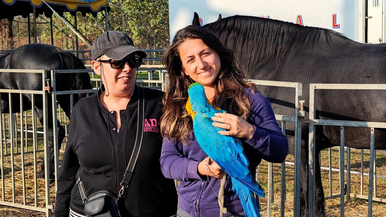 Da sinistra Tamara Majocchi, animalista di Lodi, con la circense Genoveffa Martino