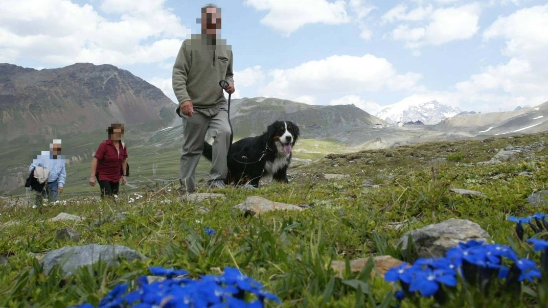 Il Parco nazionale dello Stelvio