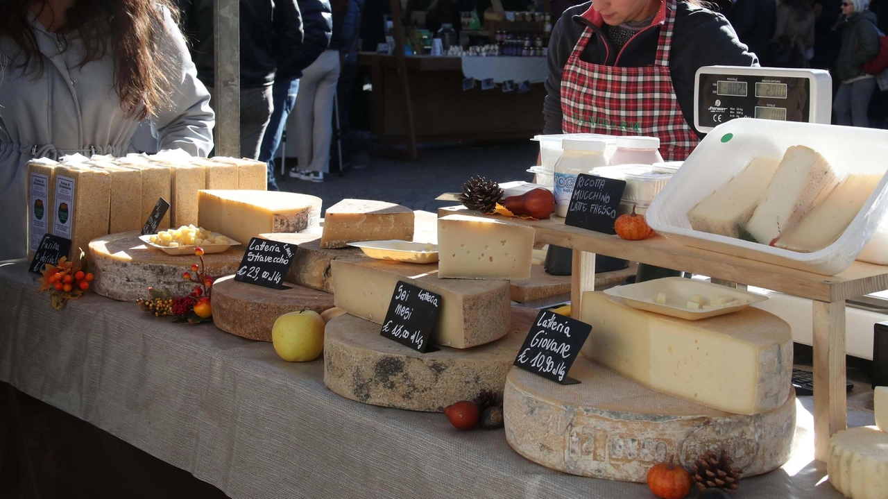 Giornata conclusiva di Consapevolmente tipico a Brescia con Formaggi in Piazza e Natura in Bellezza. MasterChef Italia presenterà cucina consapevole al Teatro Sociale, passeggiate e degustazioni in programma. Giornata conclusiva di Consapevolmente tipico a Brescia con Formaggi in Piazza e Natura in Bellezza. MasterChef Italia presenterà cucina consapevole al Teatro Sociale, passeggiate e degustazioni in programma.