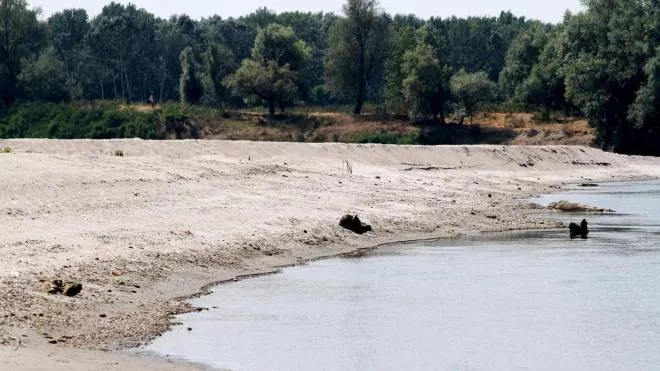 Il fiume Po in secca a causa dell'assenza di precipitazioni e del grande caldo in localit� Ragazzola (Parma), 23 giugno 2017.
ANSA/SANDRO CAPATTI