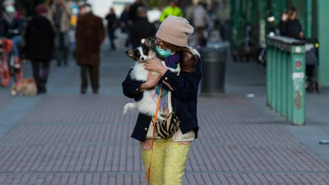 Una donna con mascherina in darsena porta in braccio il proprio cane, 11 Marzo 2020. ANSA/Marco Ottico