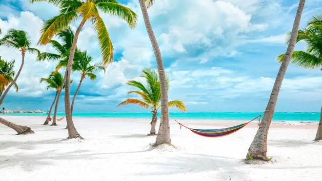 Le spiagge dei Caraibi sono fra gli sfondi più utilizzati su Zoom