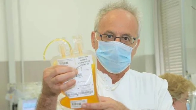 pavia - coronavirus - le sacche di plasma create con il sangue dei pazienti infetti guariti - in foto il prof. cesare perotti - torres