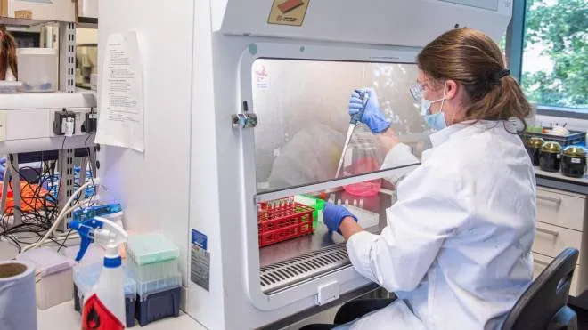 A handout photo dated 26 June 2020 and made available by the Oxford University 23 November 2020, showing employees processing serum at the laboratories of Oxford University to produce a coronavirus vaccine jointly with AstraZeneca, Oxford, United Kingdom. The Oxford University/AstraZeneca coronavirus vaccine has an average efficacy of 70.4 per cent in preliminary results, Oxford University / AstraZeneca announced on 23 November 2020, and can be stored in a standard fridge.  ANSA/OXFORD UNIVERSITY / JOHN CAIRNS / HANDOUT  HANDOUT EDITORIAL USE ONLY/NO SALES