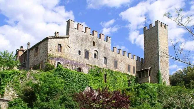 pavia - castello di Montalto - foto torres