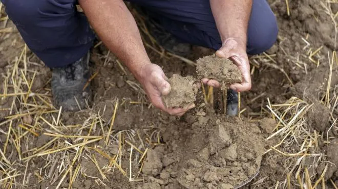 Austrian pedologist Guenter Aust, inspects a ground sample to take a ground sample on a field near Petztenkirchen, 100 kilometers west of the capital Vienna, Austria, 29 July 2019. Aust, who is in charge of mapping and field recording at the Austrian Federal Research and Training Centre for Forests, Natural Hazards and Landscape, takes soil samples from land where no data has been collected to analyze and digitize the soil structure and layouts as part of his efforts to curate an Austrian soil map. The map would be used to help farming and policy decisions about land usage and related rights. Aust told epa that a fertile soil layer can take decades to regenerate after heavy rains or otherwise damaged land. As well as working on soil mapping, Aust campaigns to raise awareness about land usage and consideration of local soil, lamenting that humus-rich soil and highly valuable agricultural land that need to be protected and maintained are much cheaper than most construction grounds. Aust is part of a global effort to better protect and use the earth's resources. The Global Footprint Network, a United States-based international non-profit research group, calculates the Earthâs Overshoot Day, an illustrative date on which humanityâs consumption of natural resources exceeds the planetâs ability to replenish them. The date for 2019, 29 July, came two months earlier than 20 years ago, further illustrating the rapid rate of soil erosion. Maria Helena Semedo, Deputy Director-General for Climate and Natural Resources at the Food and Agriculture Organization (FAO) of the United Nations (UN) said on 15 May 2019: 'Today the equivalent of one soccer pitch of soil is eroded every five seconds, and the planet is on a path that could lead to the degradation of more than 90 percent of all the Earth's soils by 2050.'  ANSA/CHRISTIAN BRUNA