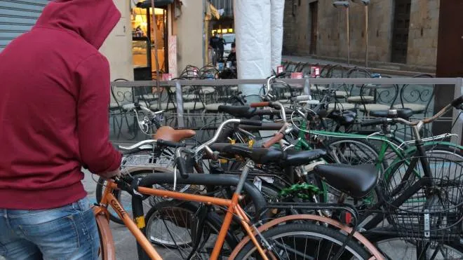 PRESSPHOTO, Firenze, arrestato ladro di biciclette
foto Giuseppe Cabras/New Press Photo