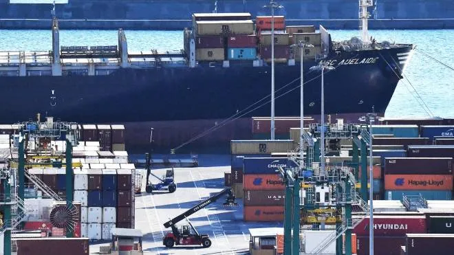 La portacontainer Msc Adelaide attraccata nel porto di Genova Pra' 