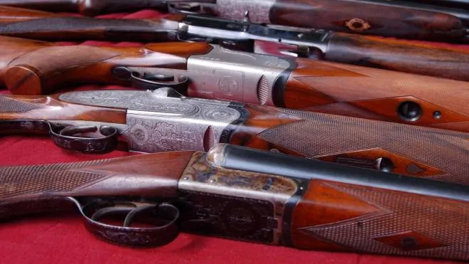 Alcuni fucili (foto d'archivio)