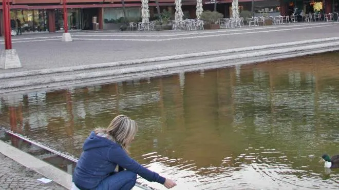 Il “lago dei cigni“ secondo Penati è in buona salute. «Il livello non va abbassato»