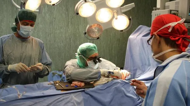 Un trapianto in una sala operatoria dell’ospedale San Gerardo di Monza
