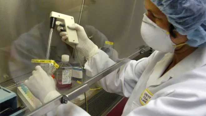 Uno step dell’analisi per la ricerca del virus del monkeypox in un laboratorio