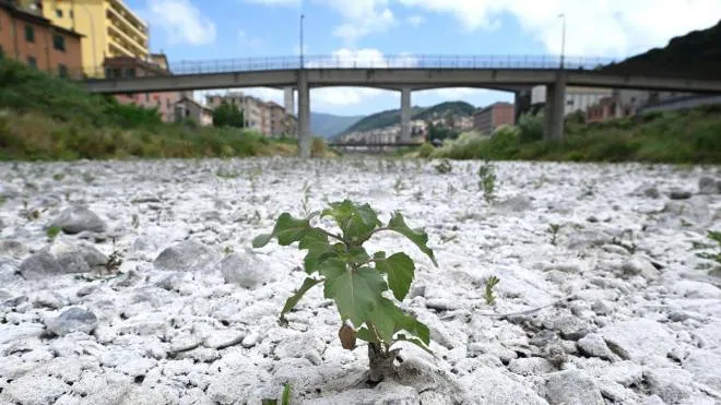 Il torrente Bisagno in secca in larga parte del suo percorso a causa della siccit�, Genova, 20 giugno 2022.  ANSA / Luca Zennaro