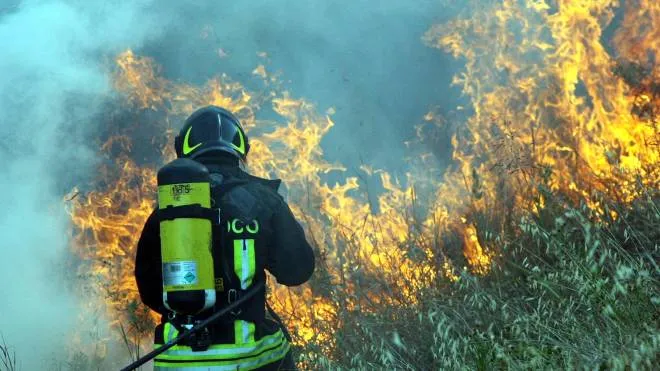 Vigili del fuoco chiamati dal contadino a spegnere il rogo evitando che si propagasse
