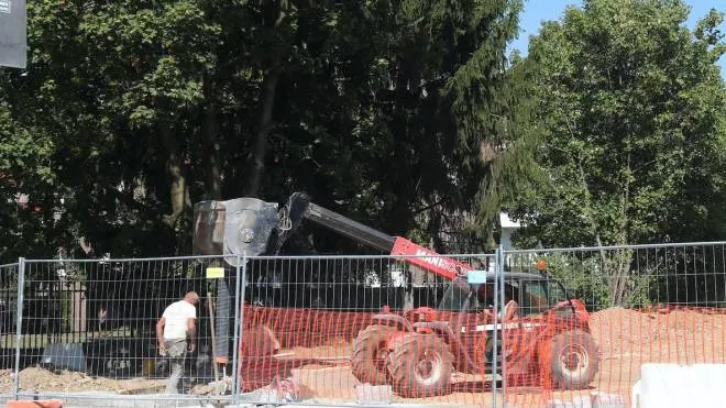 Il cantiere viabilistico di via Prampolini risarcirà i residenti del verde perduto