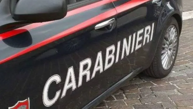 Sul posto i carabinieri di Castano Primo