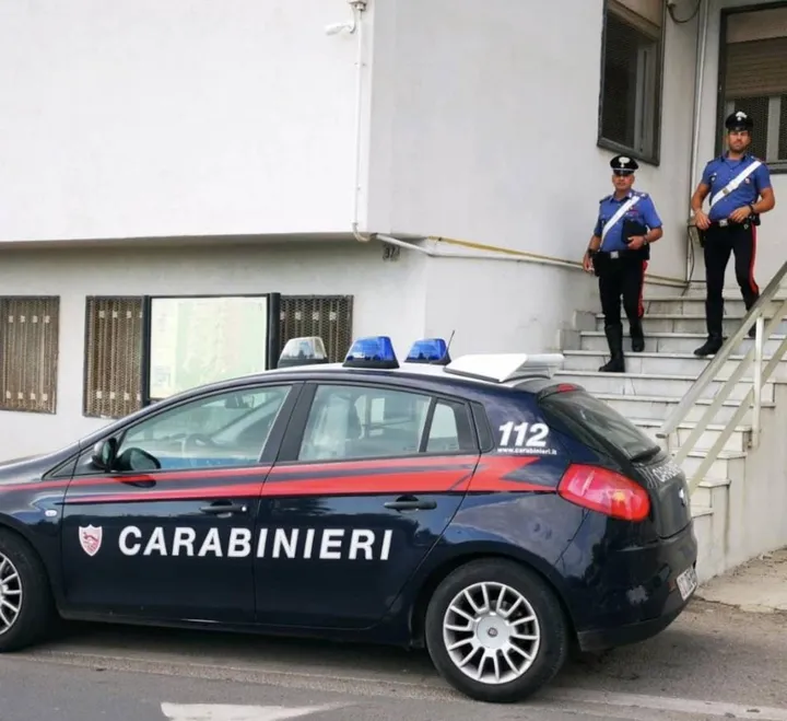 La donna, 47 anni, con precedenti per furto, è stata arrestata dai carabinieri