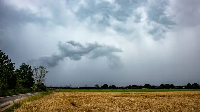 rain falls in streaks from a cloud in countryside area, field in the foreground, weather