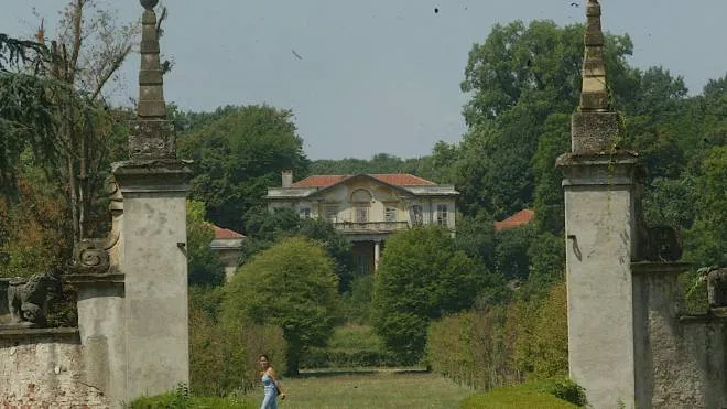 Villa Mirabellino attende un piano In alto gli esemplari secolari dei Giardini Reali
