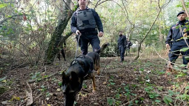 I carabinieri si sono mossi nei boschi anche con le unità cinofile
