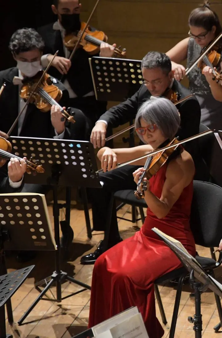 Eseguono il Concerto in re maggiore di Beethoven per violino e orchestra