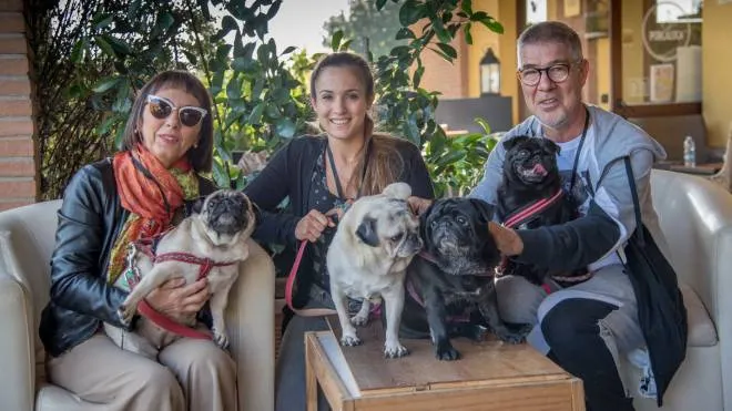 Marco Gusti con la moglie Donatella, la nuora Giulia e 4 dei 5 Carlini adottati