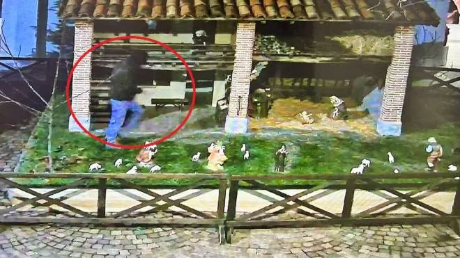 Bergamo    Furto statuetta Bambin Gesù dal presepe nella piazza di Treviglio--Ladro ripreso dalle telecamere
26 Dicembre 2022 ANSA RENATO DE PASCALE