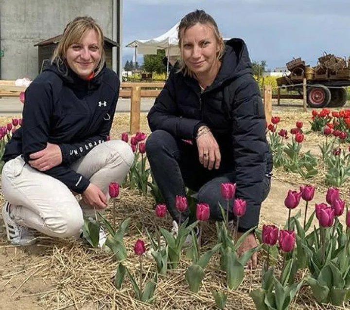 I tulipani donati da Shirin di Ornago