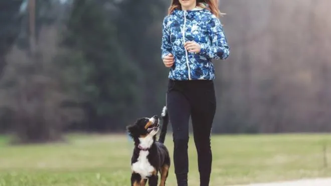 Fare jogging insieme a Fido, tenendo sempre presente la propria preparazione fisica e soprattutto la salute e l’età del cane, è molto positivo per il benessere fisico