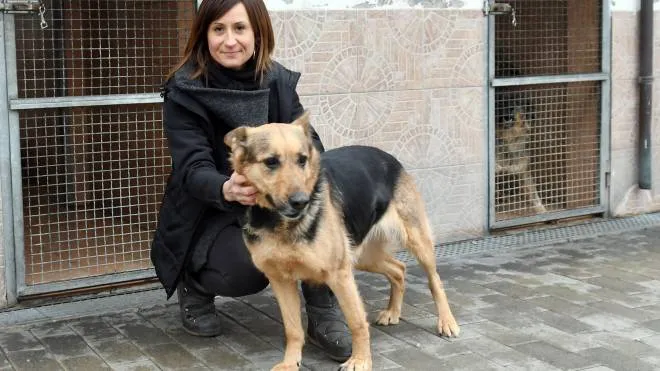 Elisa Cezza, referente del canile rifugio di Segrate e della Lega per la difesa del cane