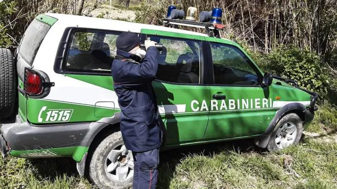 Carabinieri forestali all’opera: le indagini erano partite nel. 2021 quando dopo una frana si era rotta la fognatura