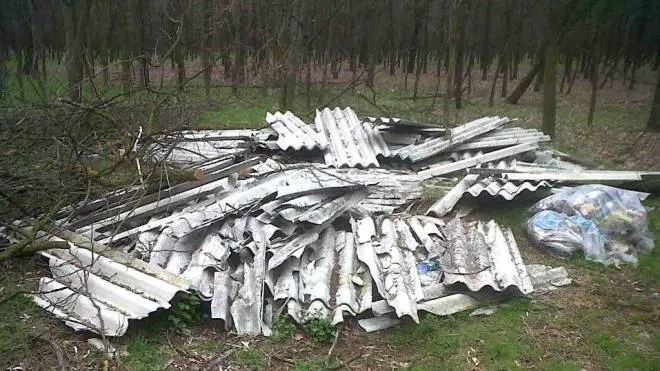 Materiale in amianto abbandonato nei boschi del Parco del Ticino