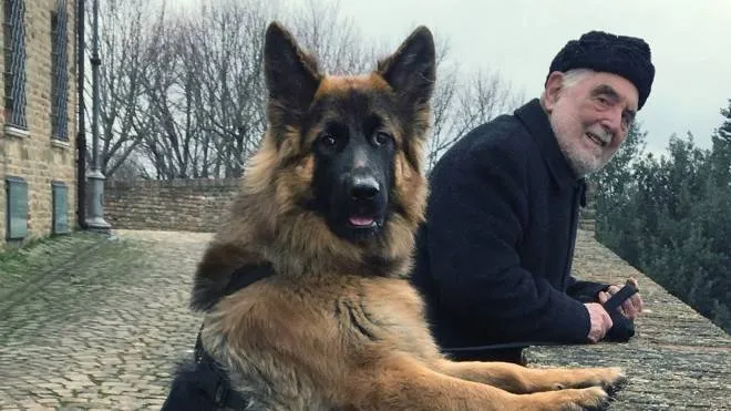 Ennio Vicario con il suo cane Blitz, pastore tedesco femmina