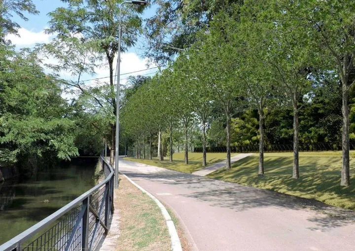 Un rendering della riqualificazione delle sponde del fiume Lambro con la piantumazione di nuovi alberi lungo il corso
