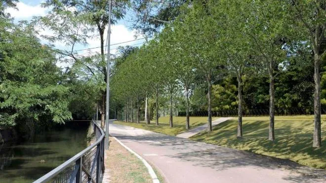 Un rendering della riqualificazione delle sponde del fiume Lambro con la piantumazione di nuovi alberi lungo il corso