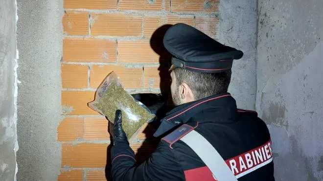 I carabinieri sequestrano la droga