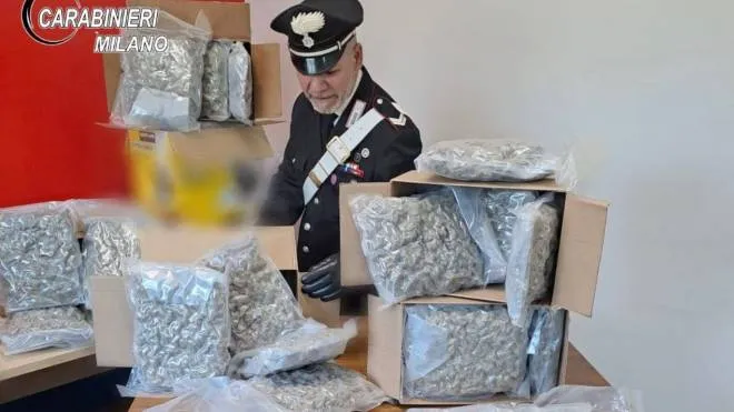 Il carico di marijuana scoperto nella logistica di Settata dai carabinieri di Peschiera è tra i maggiori degli ultimi tempi