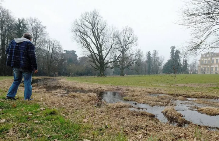 Ha destato polemiche e critiche nel fronte animalista lo sfalcio operato nella zona del Laghetto al Parco di Monza: avrebbe danneggiato l’habitat naturale di molti animali selvatici