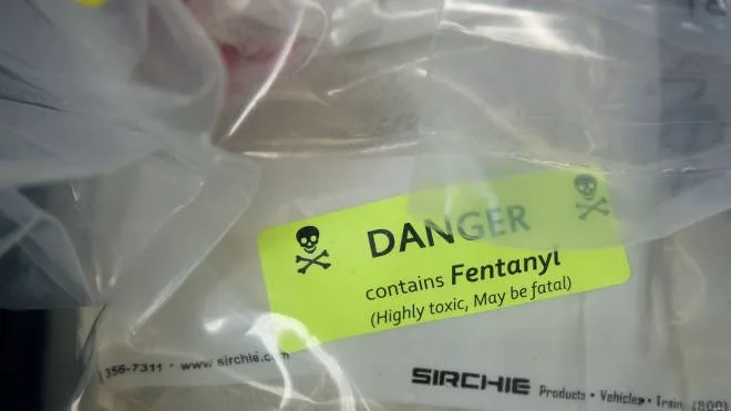 (FILES) This file photo taken on September 22, 2016 shows bags of heroin, some laced with fentanyl, displayed before a press conference at the office of the New York Attorney General, in New York. 
Nine people died of fentanyl opioid abuse in the Canadian city of Vancouver in just the past 24 hours, Mayor Gregor Robertson said on December 16, 2016. Flanked by the city's police chief and other emergency officials, Robertson lauded harm reduction services such as drug consumption rooms in the city but said more treatment options are urgently needed.
 / AFP PHOTO / GETTY IMAGES NORTH AMERICA / Drew Angerer