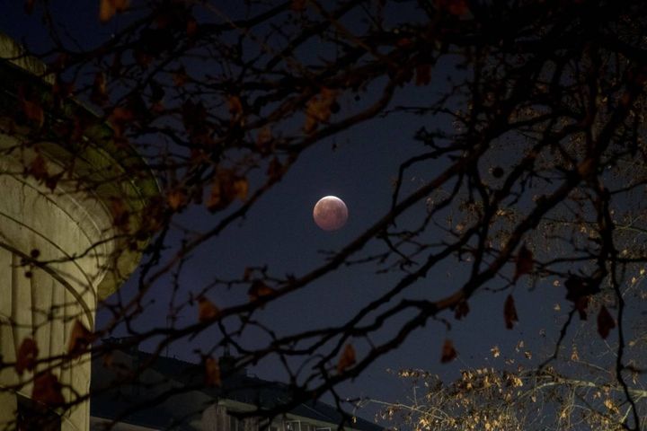 Milano, l'eclissi di luna  (foto Lapresse)
