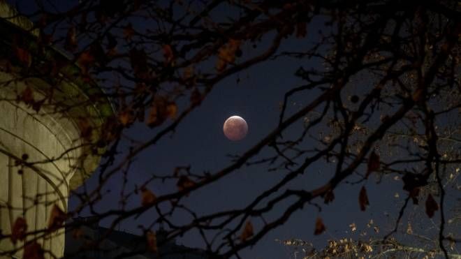 Milano, l'eclissi di luna  (foto Lapresse)