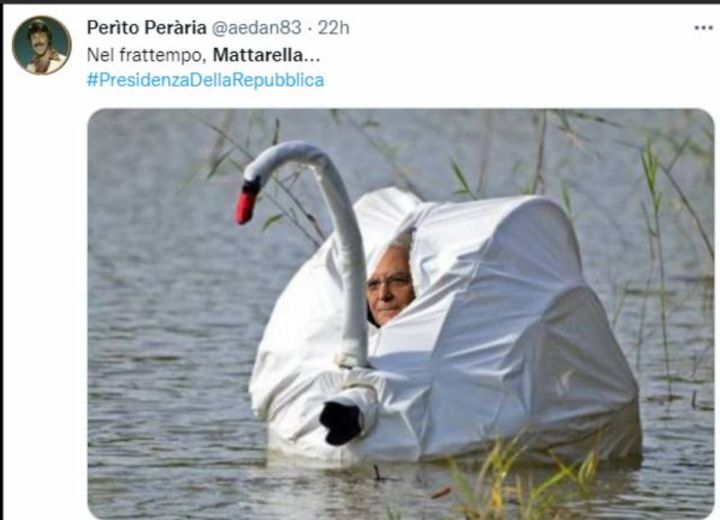 Sergio Mattarella vestito da cigno per non farsi riconoscere