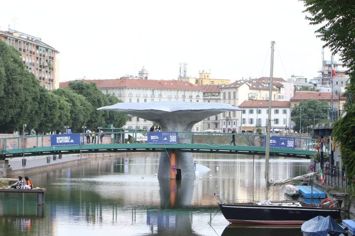 Milano, spunta una balena in darsena
