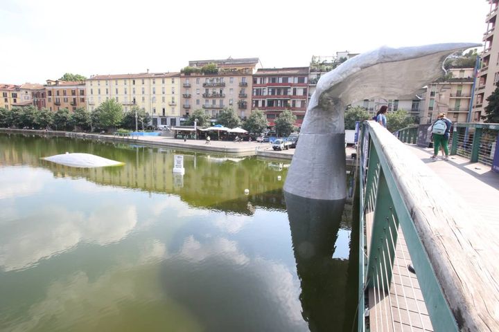 Spunta una balena in darsena a Milano: installazione per Run for the oceans
