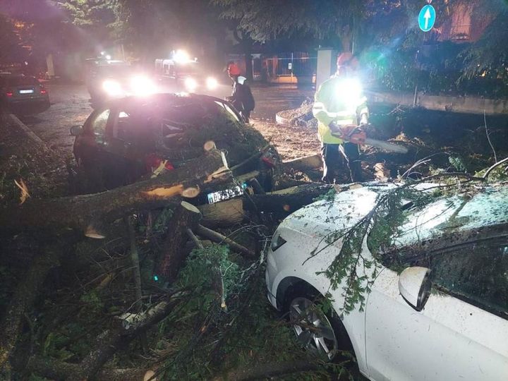 Numerose le auto danneggiate per gli alberi caduti a causa delle raffiche di vento