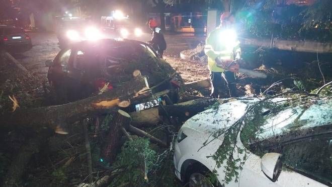 Numerose le auto danneggiate per gli alberi caduti a causa delle raffiche di vento